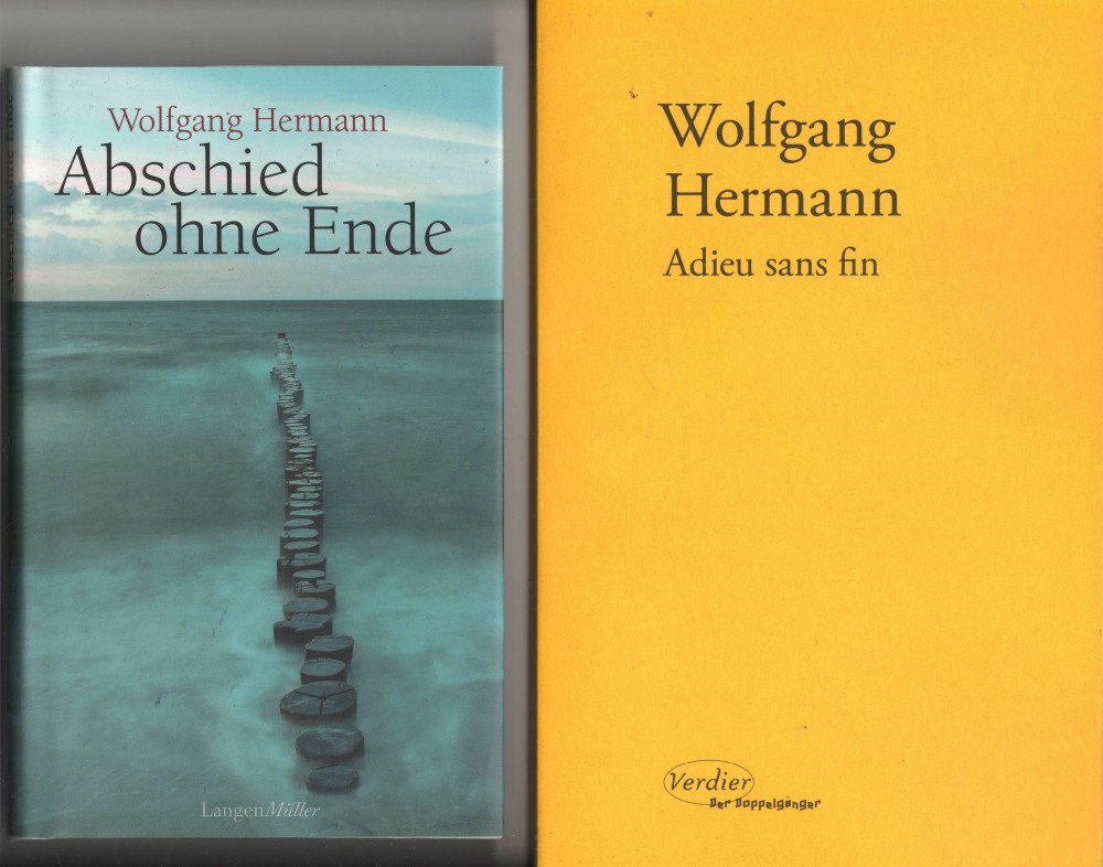 WOLFGANG HERMANN - ADIEU SANS FIN