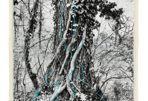 Regina Anzenberger Shifting Roots 170x130cm