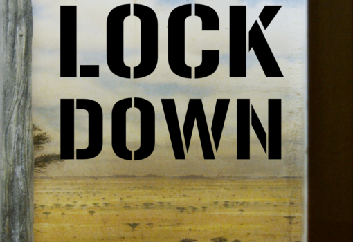 Zoolockdown Poster