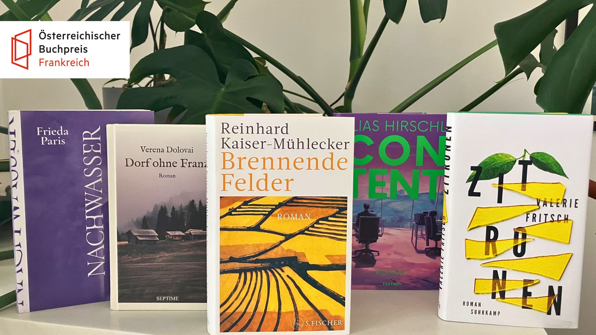 Prix du livre autrichien France 2025